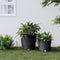 vidaXL - Plantenbak - uitneembare - bak - rattan-look - 35/37,5 - L - PP - antraciet