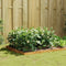 vidaXL - Plantenbak - verhoogd - 100x100x18,5 - cm - cortenstaal