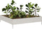 vidaXL - Plantenbak - verhoogd - 100x100x26 - cm - roestvrijstaal