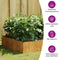 vidaXL - Plantenbak - verhoogd - 100x100x41 - cm - cortenstaal