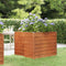 vidaXL - Plantenbak - verhoogd - 100x100x77 - cm - cortenstaal - roestig