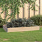 vidaXL-Plantenbak-verhoogd-100x150-cm-massief-grenenhout