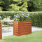 vidaXL - Plantenbak - verhoogd - 100x40x77 - cm - cortenstaal - roestig