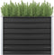 vidaXL - Plantenbak - verhoogd - 100x40x77 - cm - gegalvaniseerd - staal - antraciet