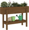 vidaXL - Plantenbak - verhoogd - 101x30x69 - cm - massief - grenenhout - honingbruin
