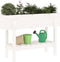 vidaXL - Plantenbak - verhoogd - 101x30x69 - cm - massief - grenenhout - wit