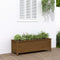 vidaXL - Plantenbak - verhoogd - 119,5x40x39 - cm - massief - grenen - honingbruin