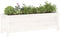 vidaXL - Plantenbak - verhoogd - 119,5x40x39 - cm - massief - grenenhout - wit