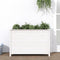 vidaXL - Plantenbak - verhoogd - 119,5x40x78 - cm - massief - grenenhout - wit