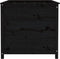 vidaXL - Plantenbak - verhoogd - 119,5x82,5x78 - cm - massief - grenenhout - zwart