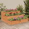 vidaXL - Plantenbak - verhoogd - 120x120x56 - cm - massief - vurenhout - bruin