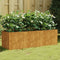 vidaXL - Plantenbak - verhoogd - 120x40x40 - cm - cortenstaal