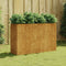 vidaXL - Plantenbak - verhoogd - 120x40x80 - cm - cortenstaal
