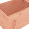 vidaXL - Plantenbak - verhoogd - 121x50x57 - cm - massief - douglashout