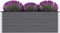 vidaXL - Plantenbak - verhoogd - 150x50x54 - cm - HKC - grijs