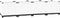 vidaXL - Plantenbak - verhoogd - 160x40x38 - cm - polypropeen