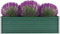 vidaXL - Plantenbak - verhoogd - 160x40x45 - cm - gegalvaniseerd - staal - groen