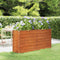 vidaXL - Plantenbak - verhoogd - 160x40x77 - cm - cortenstaal - roestig
