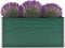 vidaXL - Plantenbak - verhoogd - 160x40x77 - cm - gegalvaniseerd - staal - groen