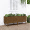 vidaXL - Plantenbak - verhoogd - 160x50x57 - cm - massief - grenenhout - honingbruin