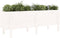 vidaXL - Plantenbak - verhoogd - 160x50x57 - cm - massief - grenenhout - wit