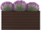 vidaXL - Plantenbak - verhoogd - 160x80x45 - cm - gegalvaniseerd - staal - bruin