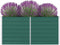 vidaXL - Plantenbak - verhoogd - 160x80x77 - cm - gegalvaniseerd - staal - groen