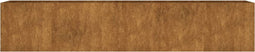vidaXL - Plantenbak - verhoogd - 200x40x40 - cm - cortenstaal
