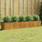 vidaXL - Plantenbak - verhoogd - 200x40x40 - cm - cortenstaal