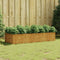 vidaXL - Plantenbak - verhoogd - 200x80x40 - cm - cortenstaal