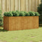 vidaXL - Plantenbak - verhoogd - 200x80x80 - cm - cortenstaal