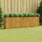 vidaXL - Plantenbak - verhoogd - 280x40x80 - cm - cortenstaal