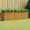 vidaXL - Plantenbak - verhoogd - 280x80x80 - cm - cortenstaal