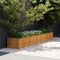 vidaXL - Plantenbak - verhoogd - 291x50x36 - cm - cortenstaal