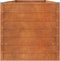 vidaXL - Plantenbak - verhoogd - 320x80x77 - cm - cortenstaal - roestig
