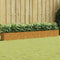 vidaXL - Plantenbak - verhoogd - 360x40x40 - cm - cortenstaal