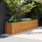 vidaXL - Plantenbak - verhoogd - 385x50x69 - cm - cortenstaal