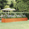 vidaXL - Plantenbak - verhoogd - 400x80x45 - cm - cortenstaal - roestig