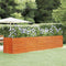 vidaXL - Plantenbak - verhoogd - 400x80x77 - cm - cortenstaal - roestig