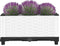 vidaXL - Plantenbak - verhoogd - 40x40x23 - cm - polypropeen