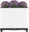 vidaXL - Plantenbak - verhoogd - 40x40x38 - cm - polypropeen