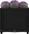 vidaXL - Plantenbak - verhoogd - 40x40x38 - cm - polypropyleen