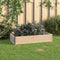 vidaXL - Plantenbak - verhoogd - 50x100 - cm - massief - grenenhout