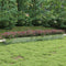 vidaXL - Plantenbak - verhoogd - 600x80x45 - cm - gegalvaniseerd - staal - zilver