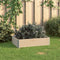 vidaXL - Plantenbak - verhoogd - 60x80 - cm - massief - grenenhout