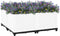 vidaXL - Plantenbak - verhoogd - 80x80x38 - cm - polypropyleen