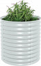vidaXL - Plantenbak - verhoogd - 80x80x81 - cm - gegalvaniseerd - staal - zilver