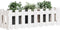 vidaXL - Plantenbak - verhoogd - hekontwerp - 100x30x30 - cm - grenenhout - wit