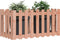 vidaXL - Plantenbak - verhoogd - hekontwerp - 100x50x50 - cm - massief - douglashout