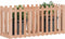 vidaXL - Plantenbak - verhoogd - hekontwerp - 150x50x70 - cm - massief - douglashout